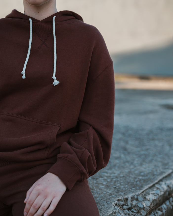 Z Supply Coastal View Hoodie in Sandalwood